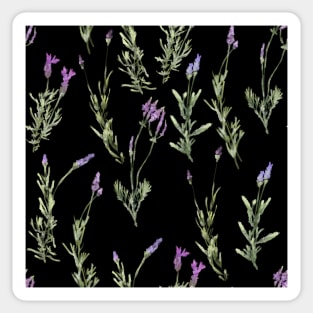 Watercolor lavander Sticker